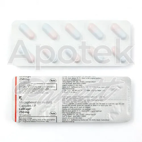 mykofenolat mofetil-without-prescription