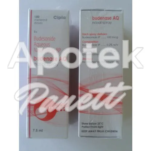 rhinocort-without-prescription